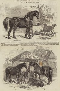 Palkinnot jaettiin Northamptonissa 1847